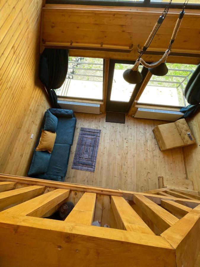 Guesthouse Elli & Cottages Kazbegi Esterno foto